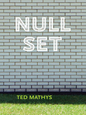 cover image of Null Set